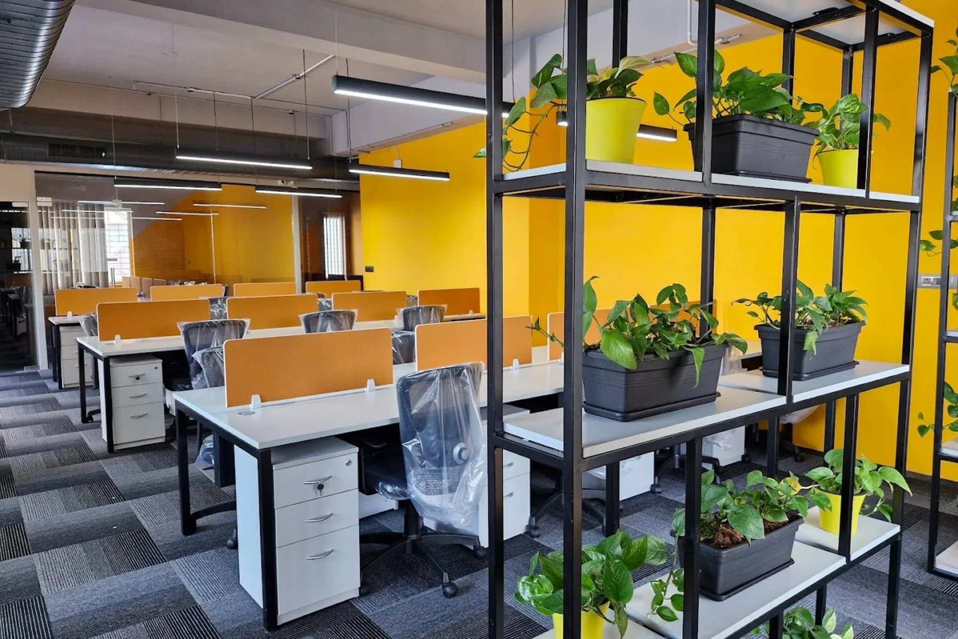 ISQ-JNR workspace